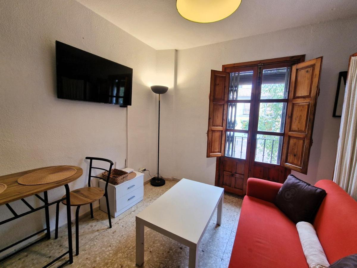 Ds Plaza Abades Apartment